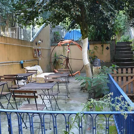 Hostel Alma