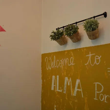 Hostel Alma