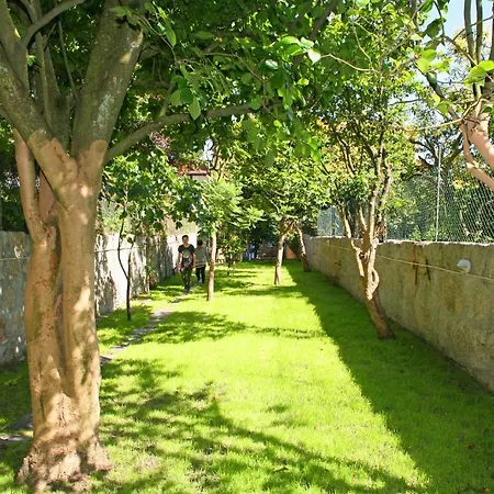 Hostel Alma Porto